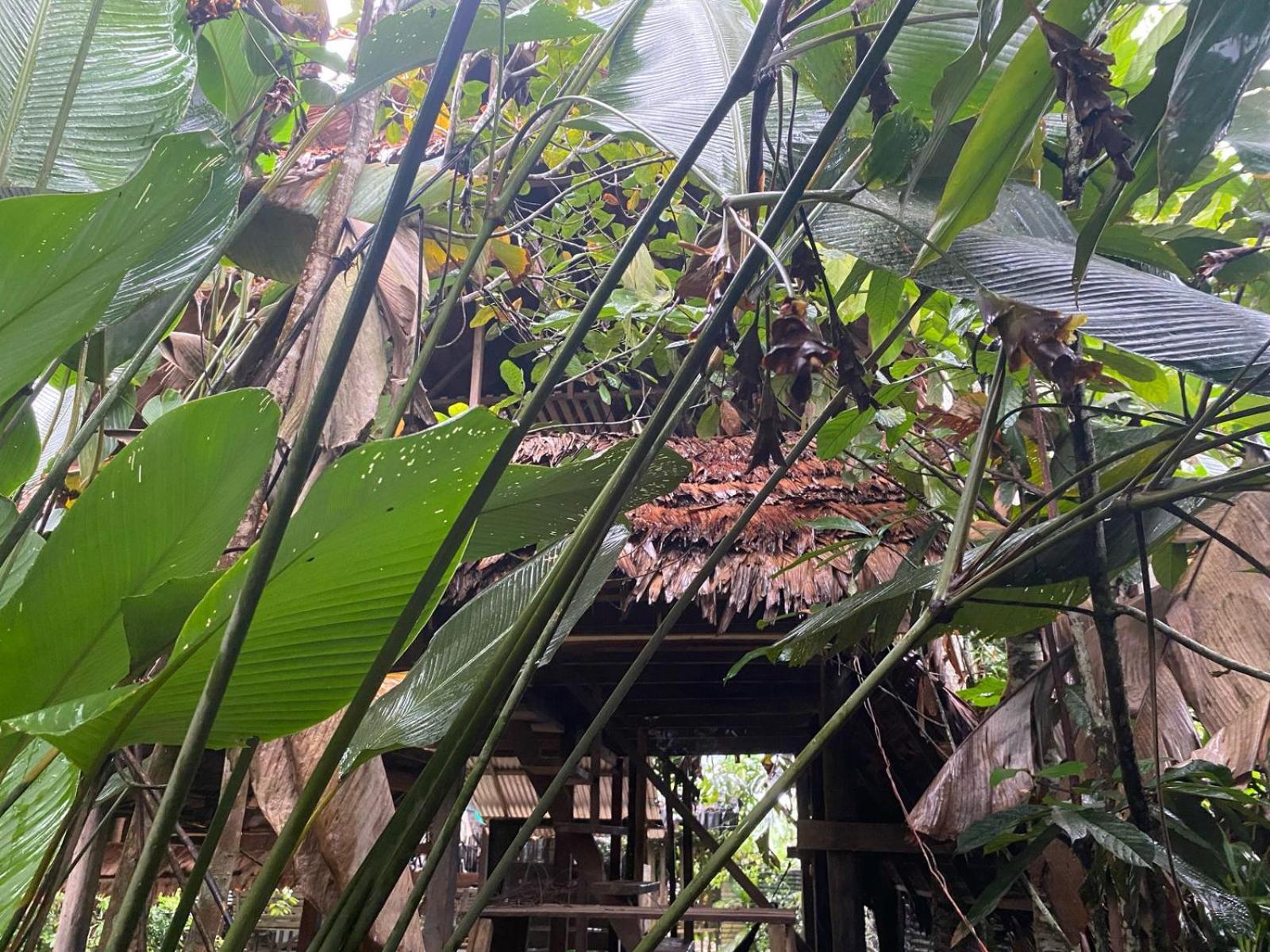 Xingu Camping Site Leticia Kültér fotó