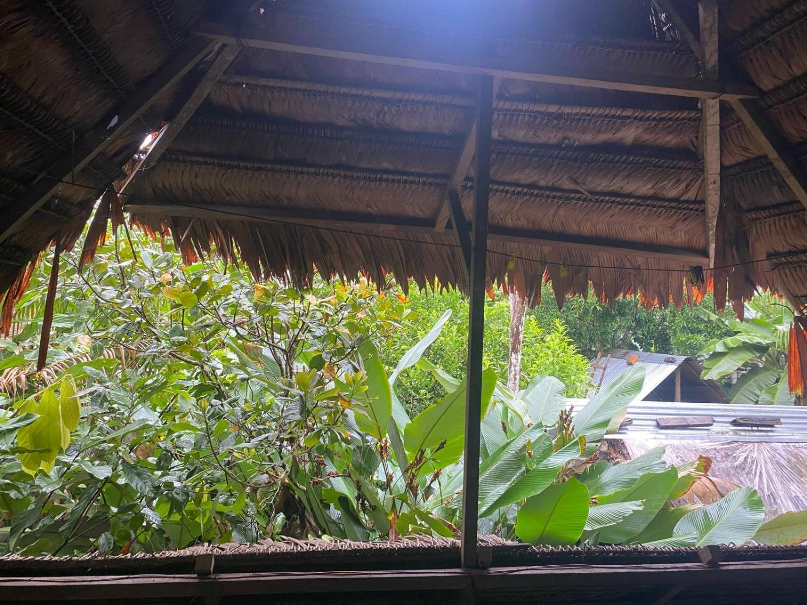 Xingu Camping Site Leticia Kültér fotó