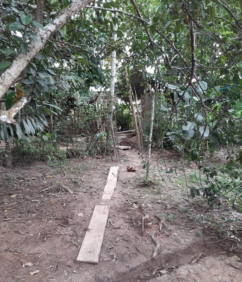 Xingu Camping Site Leticia Kültér fotó