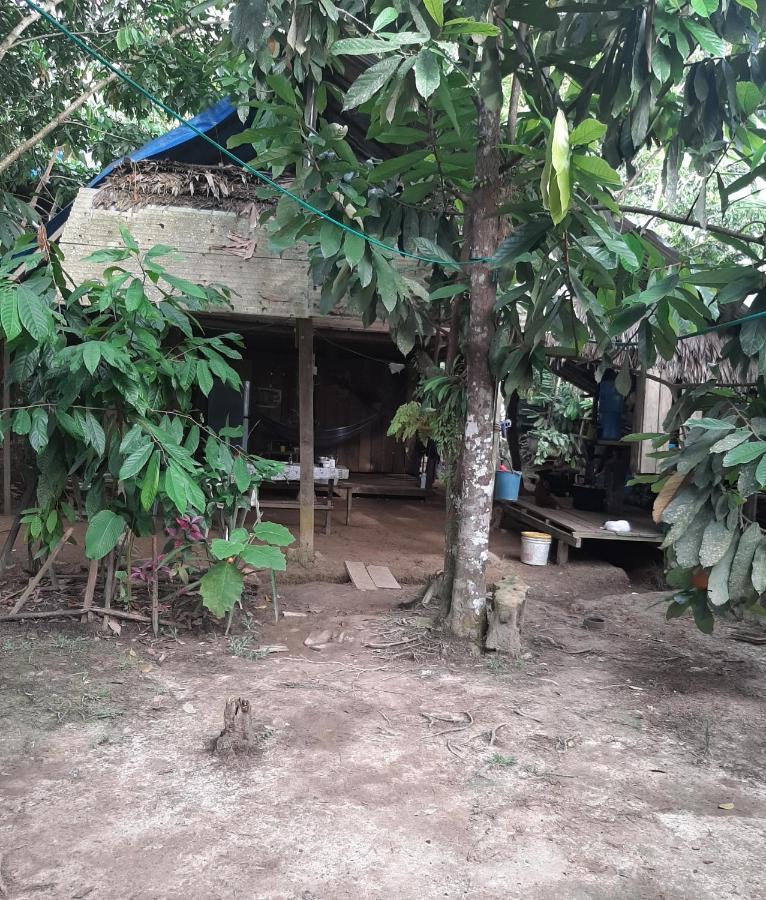 Xingu Camping Site Leticia Kültér fotó