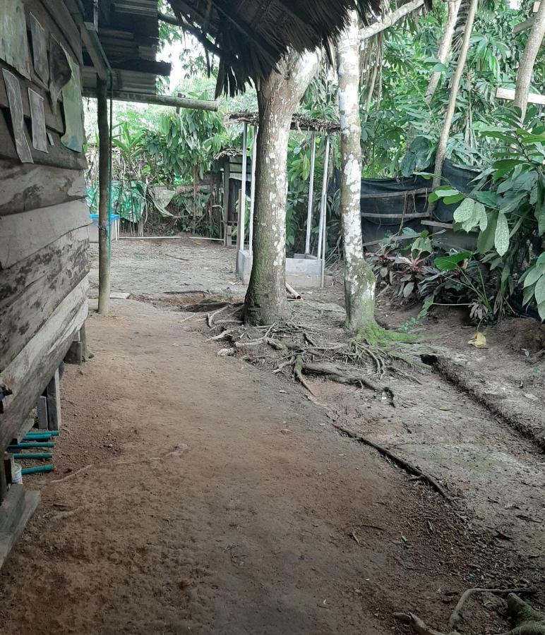 Xingu Camping Site Leticia Kültér fotó